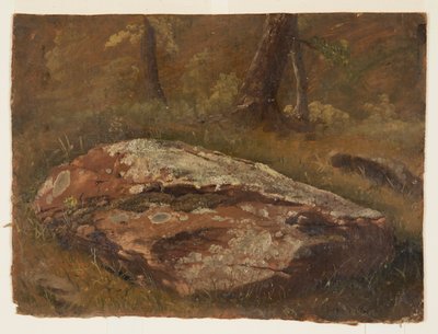绘画，苔藓岩，1845 年 8 月 作者 弗雷德里克·埃德温·丘奇