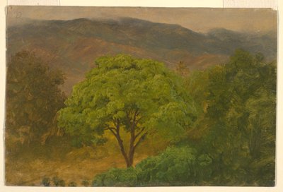素描，山区风景，1865 年 8 月 作者 弗雷德里克·埃德温·丘奇