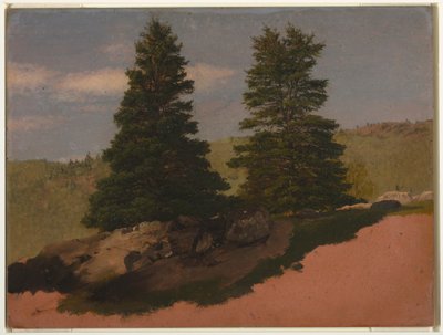 素描，新英格兰风景（两棵松树），1850 年 作者 弗雷德里克·埃德温·丘奇