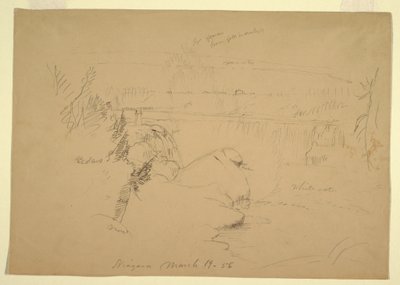 绘图，尼亚加拉大瀑布，从山羊岛俯瞰，1856 年 3 月 19 日 作者 弗雷德里克·埃德温·丘奇