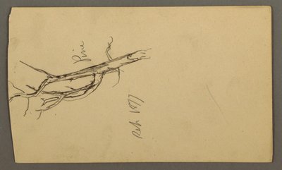 绘画，松树，1877 年 9 月 作者 弗雷德里克·埃德温·丘奇