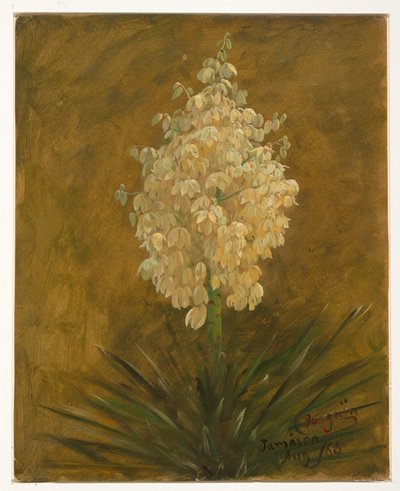 素描，植物开花，1865 年 8 月 作者 弗雷德里克·埃德温·丘奇