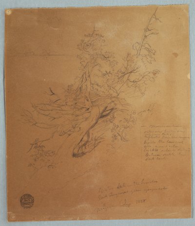 素描，尼亚加拉瀑布下加拿大银行的崎岖树木，1856 年 9 月 作者 弗雷德里克·埃德温·丘奇