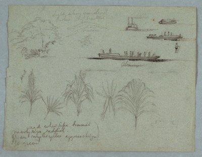 素描，《哥伦比亚马格达莱纳河素描》：  植物、蒸汽船和 Champan，1853 年，可能是 5 月 作者 弗雷德里克·埃德温·丘奇