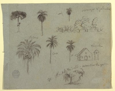 素描，《哥伦比亚马格达林河素描》：  植物研究和一座教堂，1853 年 5 月 作者 弗雷德里克·埃德温·丘奇