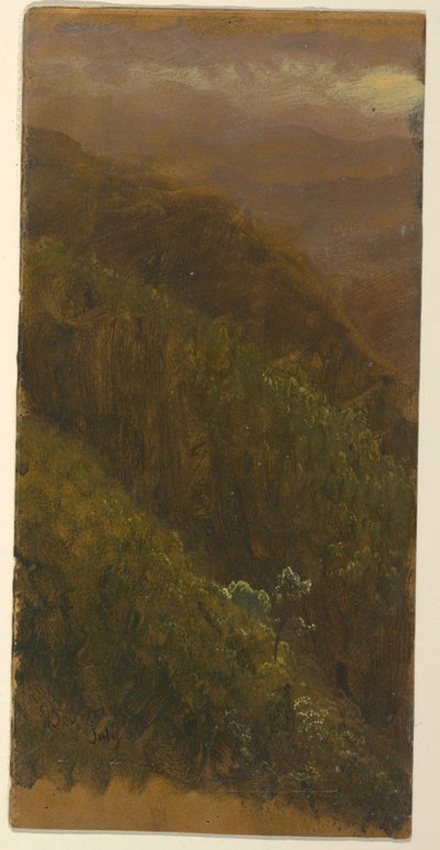 绘图，陡峭的山坡，1865 年 7 月 作者 弗雷德里克·埃德温·丘奇