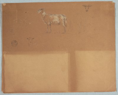 素描，绵羊研究，厄瓜多尔或哥伦比亚，1853 年 作者 弗雷德里克·埃德温·丘奇