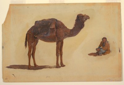 素描，单峰驼研究，1868 年 作者 弗雷德里克·埃德温·丘奇