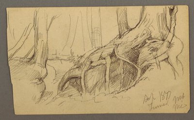 素描，巨石上生长的树根（特纳山），1877 年 作者 弗雷德里克·埃德温·丘奇