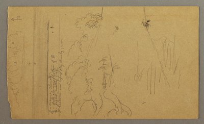 素描，树干和树根，可能创作于 1865-66 年 作者 弗雷德里克·埃德温·丘奇