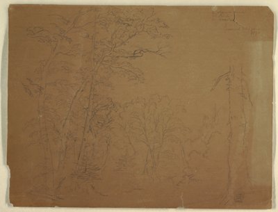 素描，树木，加拿大大马南岛，1851 年 作者 弗雷德里克·埃德温·丘奇
