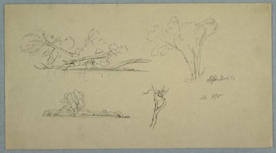 素描，树木，有灌木丛和树木的海岸，1876 年 9 月 作者 弗雷德里克·埃德温·丘奇