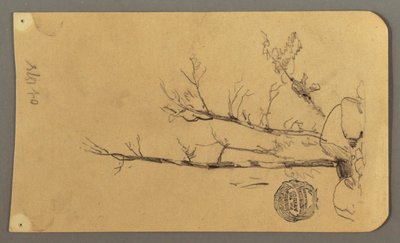 素描，树木，巨石，1878 年 作者 弗雷德里克·埃德温·丘奇