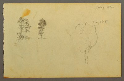 绘画，树，牛，1844 年 作者 弗雷德里克·埃德温·丘奇
