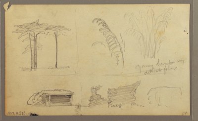 绘图，瓜亚斯河东岸景观，厄瓜多尔瓜亚基尔对面，1857 年 5 月 作者 弗雷德里克·埃德温·丘奇