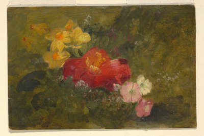 素描，野花，牙买加，1865 年 作者 弗雷德里克·埃德温·丘奇