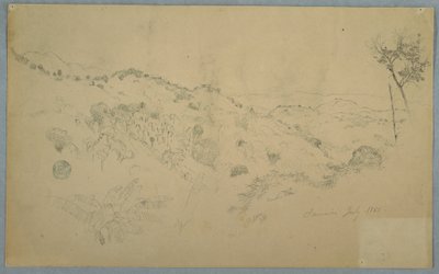 素描，有大片蕨类植物和远处山脉的森林谷地，牙买加，1865 年 7 月 作者 弗雷德里克·埃德温·丘奇