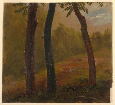 素描，林地场景，牙买加，1865 年 作者 弗雷德里克·埃德温·丘奇