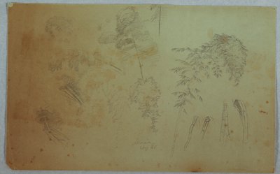 对牙买加树梢和竹子的研究 作者 弗雷德里克·埃德温·丘奇