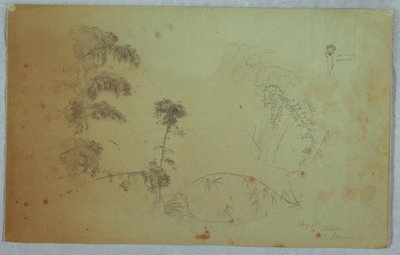 带竹子细节的树木研究和一个头顶香蕉的男子的小细节，牙买加贝尔维尤 作者 弗雷德里克·埃德温·丘奇