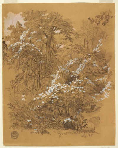 林地风景，山羊岛，尼亚加拉河，纽约州 作者 弗雷德里克·埃德温·丘奇