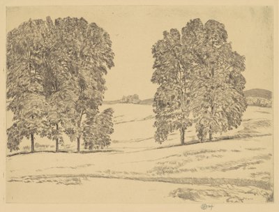 Hayfield中的山核桃，1917年。 作者 弗雷德里克·柴尔德·哈萨姆