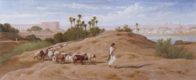 在开罗附近的一只山羊牧群 作者 Frederick Goodall