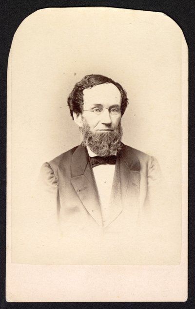 不明身份的人的肖像，约1860年代。 作者 Frederick Gutekunst