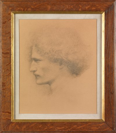 Ignacy Jan Paderewski（铂金版） 作者 弗雷德里克·霍利尔