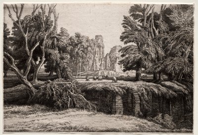 洗衣房 作者 弗雷德里克·兰瑟（Frederick Landseer）莫尔·格里格斯（Maur Griggs）