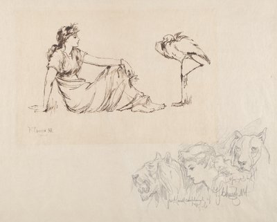 女人与鹤（警戒？） 作者 Frederick Stuart Church