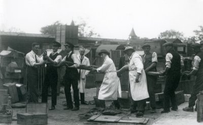 1925年6月由伦敦动物园的动物学会工作人员的11名成员携带20英尺长的Python 作者 弗雷德里克·威廉·邦德