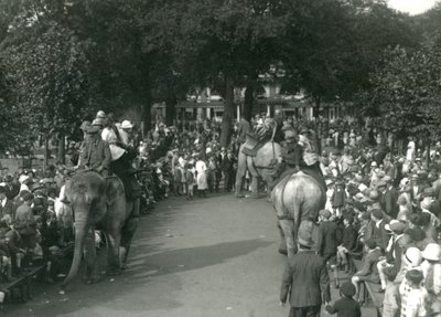 1926年8月，在伦敦动物园，三头亚洲大象在围观人群中观看骑大象（黑白照片）。 作者 弗雷德里克·威廉·邦德