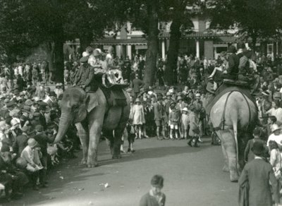 1926年8月，在伦敦动物园，两头亚洲大象在围观者的注视下进行骑象活动（黑白照片）。 作者 弗雷德里克·威廉·邦德