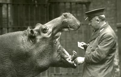 Hippopotamus Bobbie与守门员Ernie Bowman，伦敦动物园，1927年 作者 弗雷德里克·威廉·邦德
