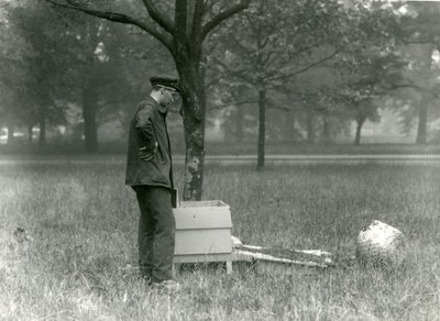 Keeper Brown移动了一群蜜蜂，伦敦动物园，1926年7月 作者 弗雷德里克·威廉·邦德