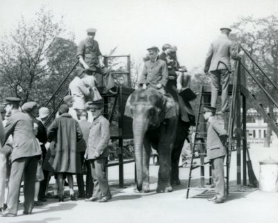 1927年，伦敦动物园的五位饲养员帮忙，其他人出发前往大象骑行的游客 作者 弗雷德里克·威廉·邦德