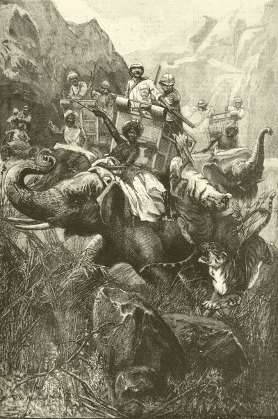 Tiger hunting in India (engraving) 作者 弗雷德里克·威廉·伯顿