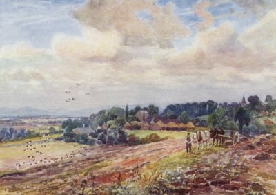 饥饿的格拉夫顿 作者 Frederick William Newton Whitehead