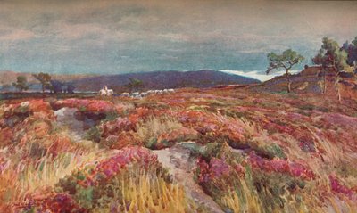 希思·利特切特大教堂，c1904年 作者 弗雷德里克·威廉·牛顿·怀特黑德