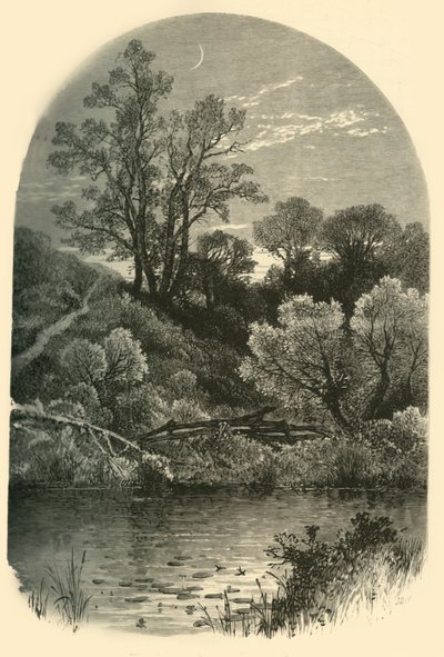 Housatonic河岸，在匹兹菲尔德"，1874年。   作者 弗雷德里克·威廉·夸特利