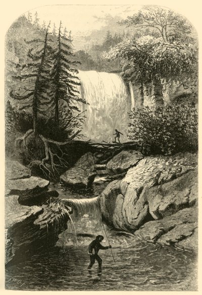 黑水河的瀑布》，1872年。   作者 弗雷德里克·威廉·夸特利