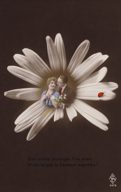 一对年轻夫妇在一朵花的中心与瓢虫（有色photocollage） 作者 法国摄影师