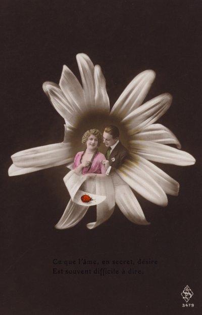 一对年轻夫妇在一朵花的中心与瓢虫（有色photocollage） 作者 法国摄影师