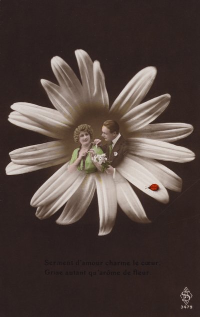 一对年轻夫妇在一朵花的中心与瓢虫（有色photocollage） 作者 法国摄影师