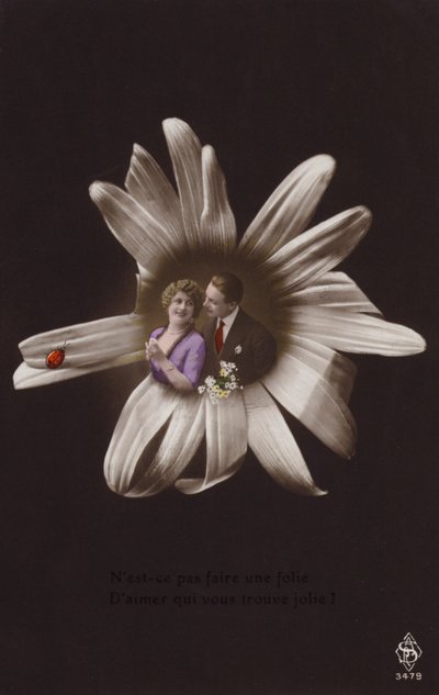 一对年轻夫妇在一朵花的中心与瓢虫（有色photocollage） 作者 法国摄影师
