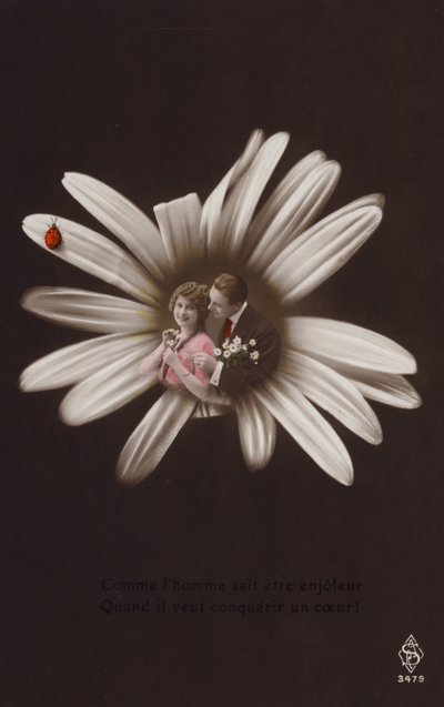 一对年轻夫妇在一朵花的中心与瓢虫（有色photocollage） 作者 法国摄影师
