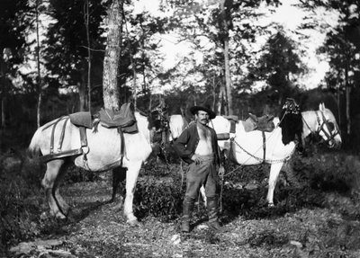 Bucheron with his horses, in the vicinity of Bourmont in Haute-Marne (Haute Marne). Ducos Collection. 作者 法国摄影师