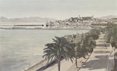 戛纳，港口和老城区，Boulevard de la Croisette 作者 法国摄影师