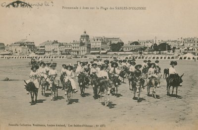 驴骑在法国西部Les Sables-dOlonne的海滩上。明信片于1913年寄出。 作者 法国摄影师